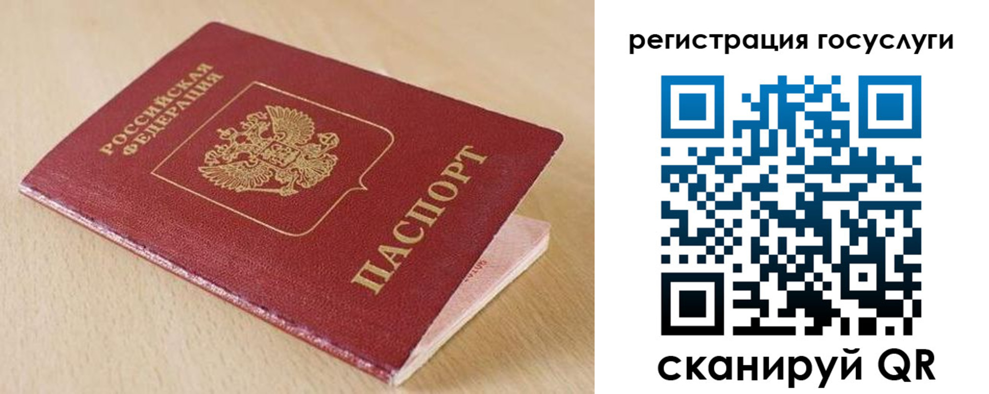 временная регистрация гарантия в Палласовке